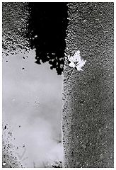 photo "on the edge"