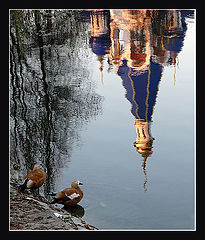 photo "***"