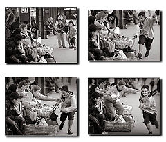 фото "a normal day"