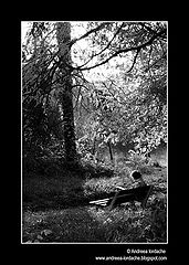 фото "Resting"