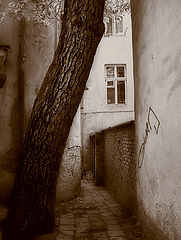photo "the-autograph"