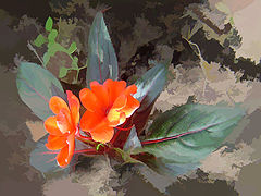 photo "***"