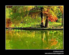 фото "Autumn colours"