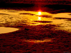 photo "Stange night."