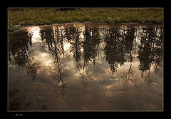 photo "***"