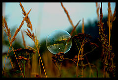 photo "***"