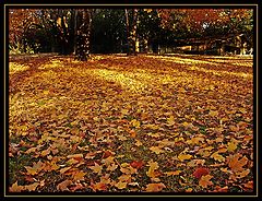 photo "Fall"