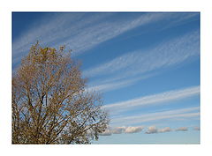 photo "***"