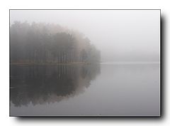 фото "***"