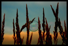 photo "***"
