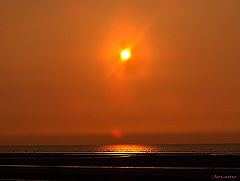 photo "Evening sun."