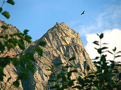 photo "***"