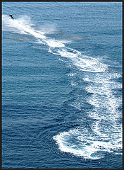 photo "Curve"
