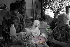 photo "***"