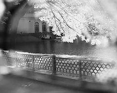 photo "the-low-sun"