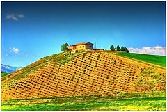photo "Paesaggio siciliano"
