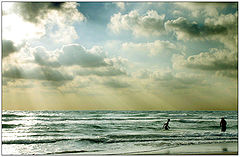 photo "The sunny rain"
