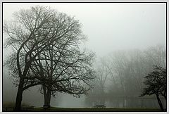 photo "Foggy Morning"