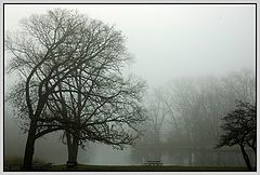 фото "Foggy Morning"