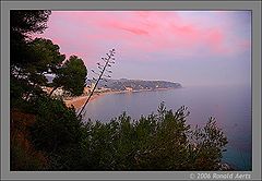 photo "Lloret De Mar at evening"
