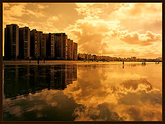 фото "Golden Light"