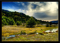 photo "***"