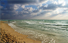 photo "The runner"