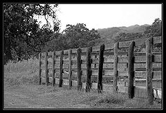 фото "Walkin the Fence"