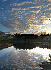 photo "Killarney Park"