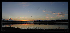 photo "free as a bird.."