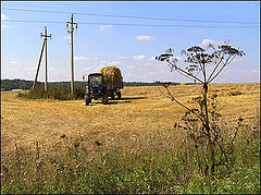 photo "Haymaking"