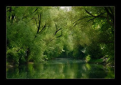 photo "The Green Valley"