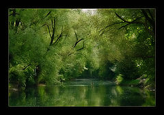 фото "The Green Valley"