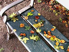фото "Autumn in the garden"