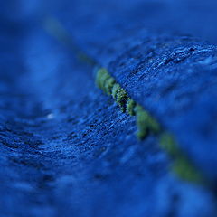 photo "***"