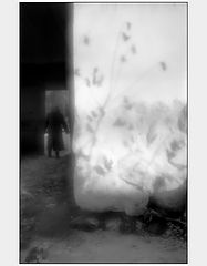 photo "*****"