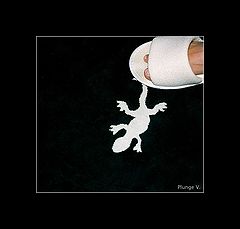 photo "***"