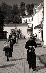 фото "лавра"