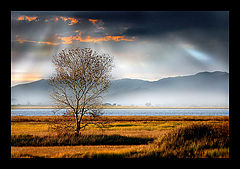 фото "Beautiful autumn day"
