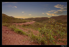 photo "the only way"