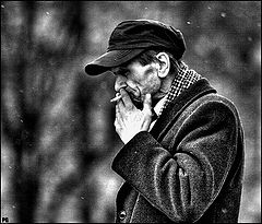фото "зима"