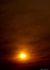 photo "Black sun"