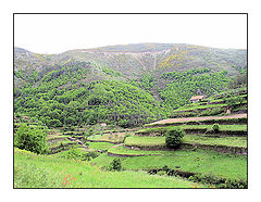 фото "Sucalcos Serranos"