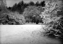 photo "new acquisition"