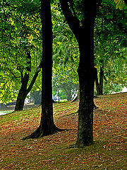 photo "Lisboa 2"