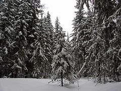 photo "Deaf place"