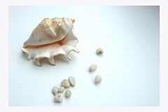 photo "treasures"