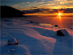 photo "To a frost..."