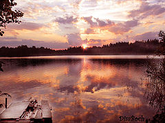 photo "***"