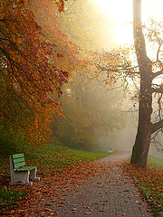 photo "fall-heat"